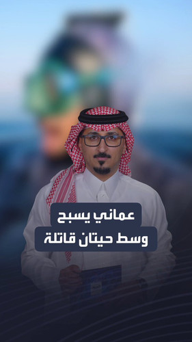 Q XarDjsy2AOuHq2.jpg