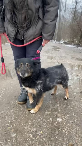 cLeFM3izIOXzQ m7.jpg