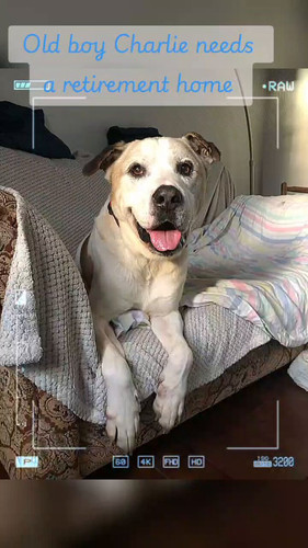 r9XISK WzAKNemLa.jpg