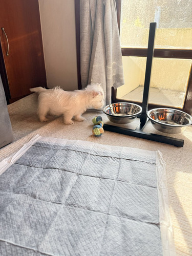 HA84ykwbsAI exU?format=jpg.jpg