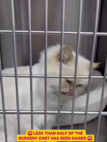 EP 0X0KH iwCClKx.jpg