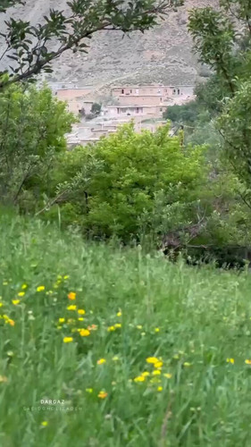 pLeldTiER4HwWYd .jpg