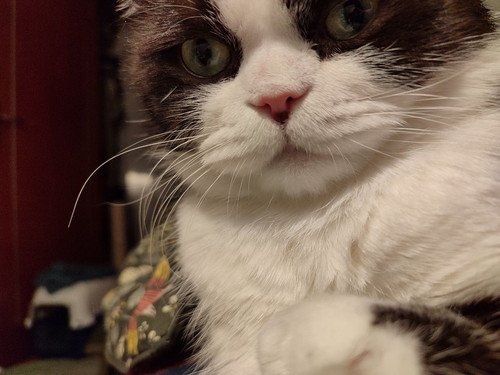 HA z q1XkAAfjBS?format=jpg.jpg