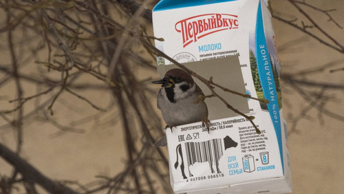 HA59otHWwAEm zQ?format=jpg.jpg