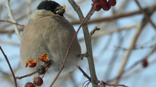 M wVc9Q4EDT7r3et.jpg