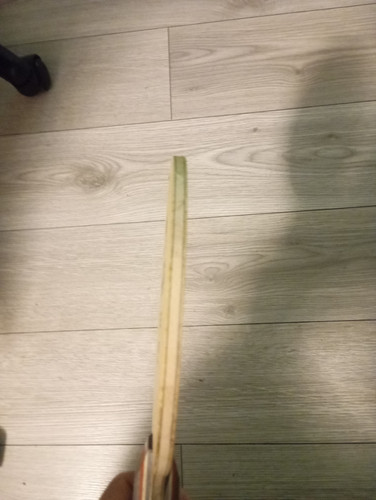 IMG 20260213 001956.jpg