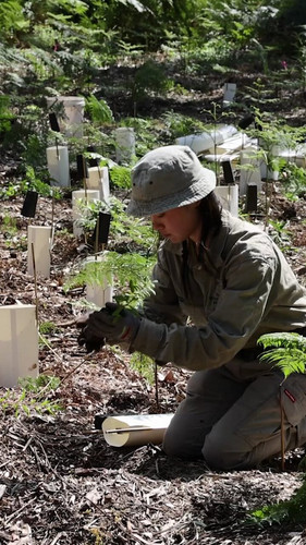 G3sYS8VXlTZhL l6.jpg