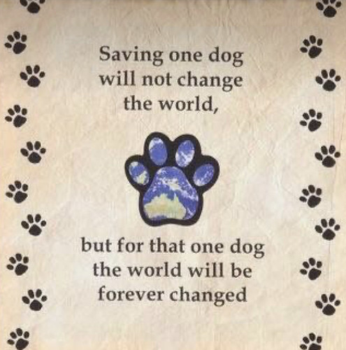 HA7qT bXgAASH6Z?format=jpg.jpg