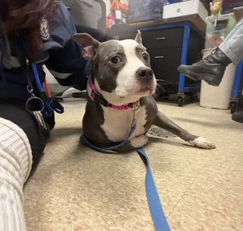 HAb dapaAAAECrb?format=jpg.jpg