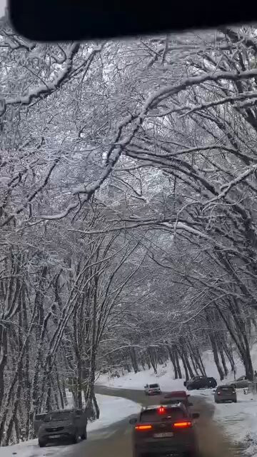 I1cdRAvRay kQWr8.jpg