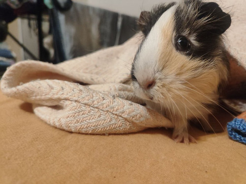 HA 7ysdbsAACP7K?format=jpg.jpg