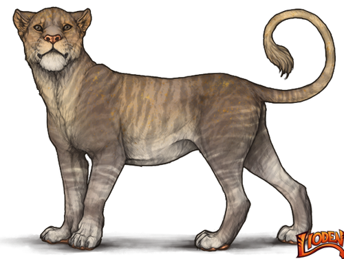 lioden wardrobe (8).png