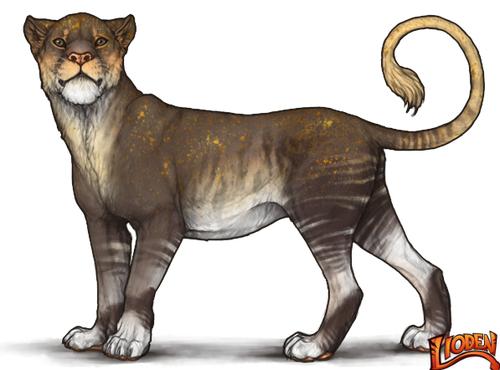 lioden wardrobe (9).png