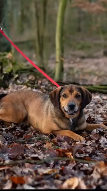 IkD rV4 pLDtxyEN.jpg