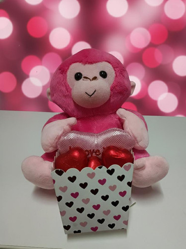 WhatsApp Image 2026 02 10 at 6.20.46 PM (1).jpg