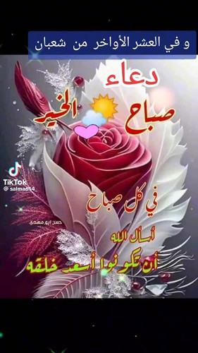 q9SxbKaaAUCm mB .jpg