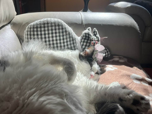 631594850 692532343946584 2772686617038193205 n.jpg