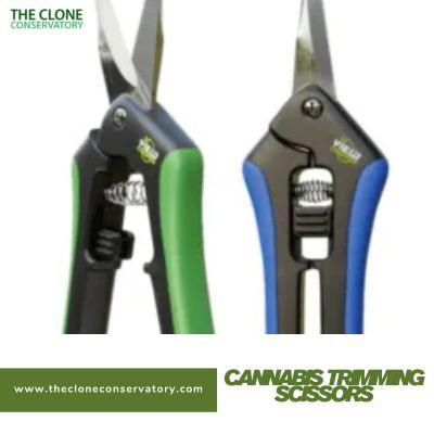 Cannabis Trimming Scissors.jpg