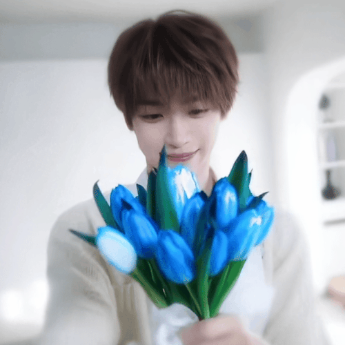 GIF 20260214122133126.gif