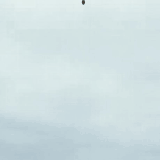 GIF 20260214 051202 616.gif