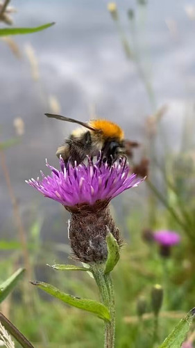 2MftQOx CLQGpB7n.jpg