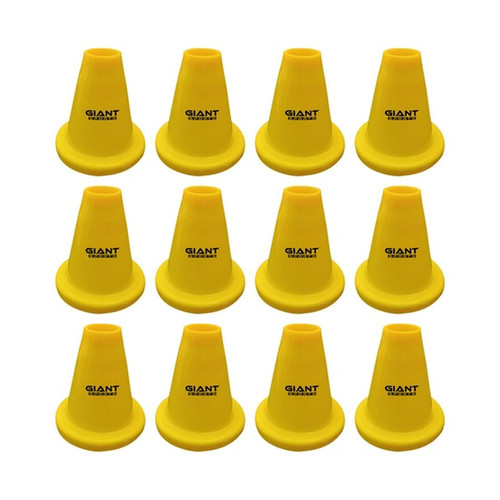 YELLOW SET OF 12 1.jpg