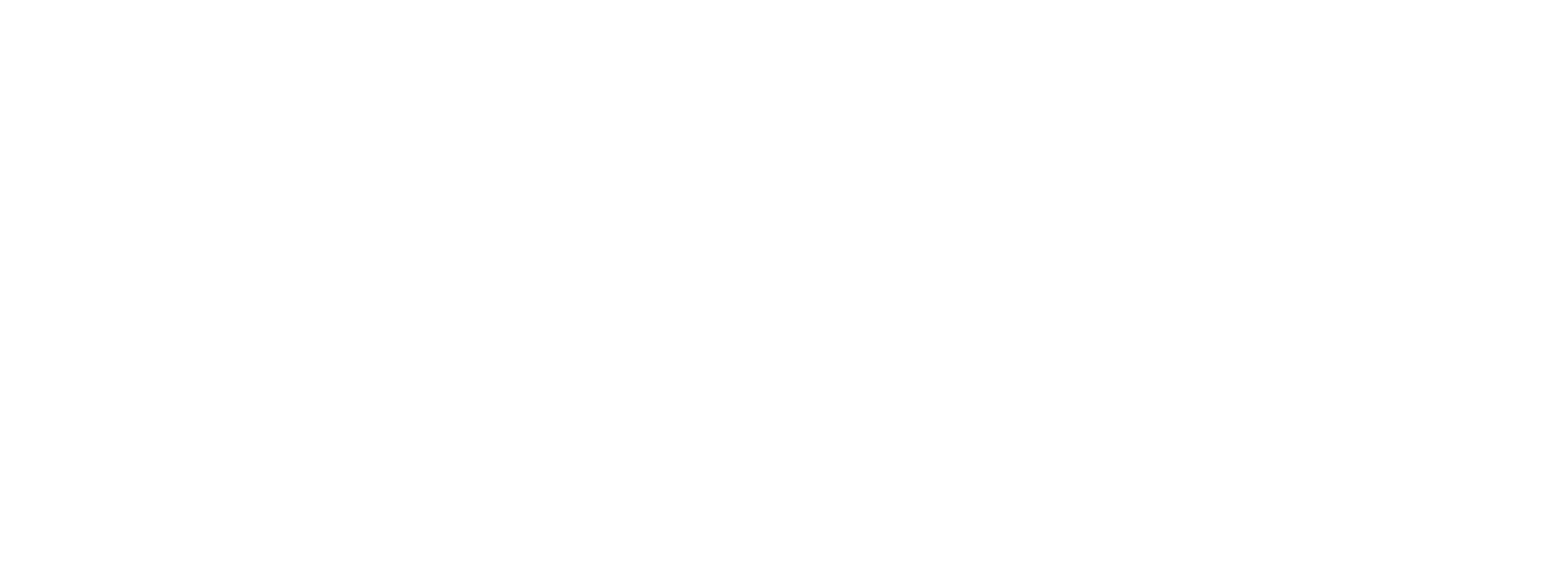 Cognitive Brain Core