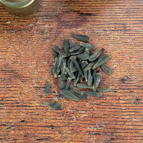 unwins dahlia seeds 2 c34971c3 43cb 4b75 871e 47df3ace5172.webp