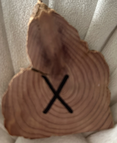 Lee's 10 Year Chip.jpg