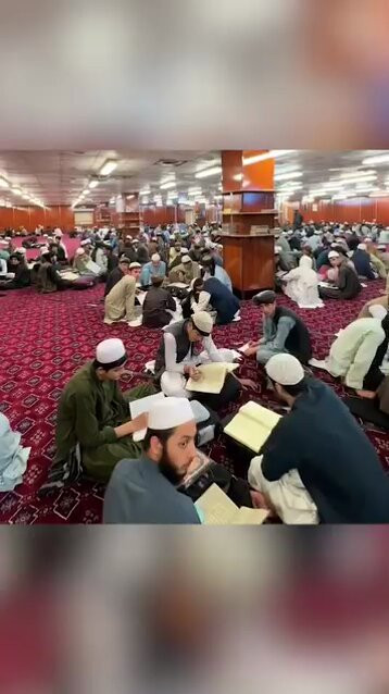 QMq0Hv1OWzXaO 50.jpg