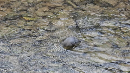 iotliVQF MTbnQtv.jpg