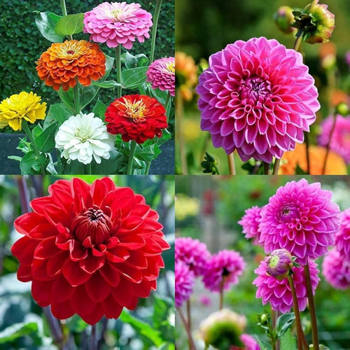 71kEk6SPbKL. AC UF1000,1000 QL80 .jpg