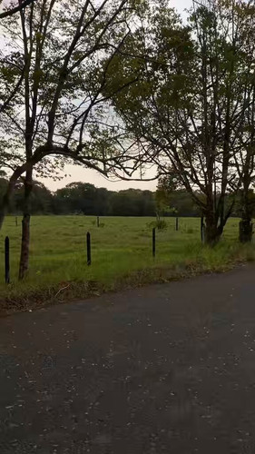 G4 7xbWhZyvvVkXE.jpg