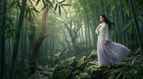 1 api 1771046071868 0sjhz7.jpg