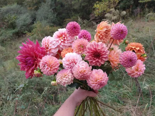 20231011 141942.webp