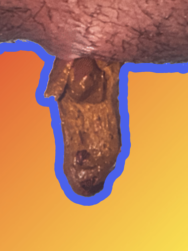 GamingGalaxyGenerator.png
