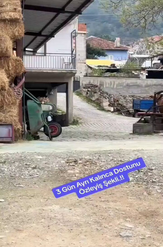 Qcl4qc5FzU9ZP52J.jpg