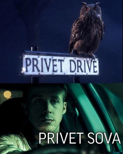 privet.jpg