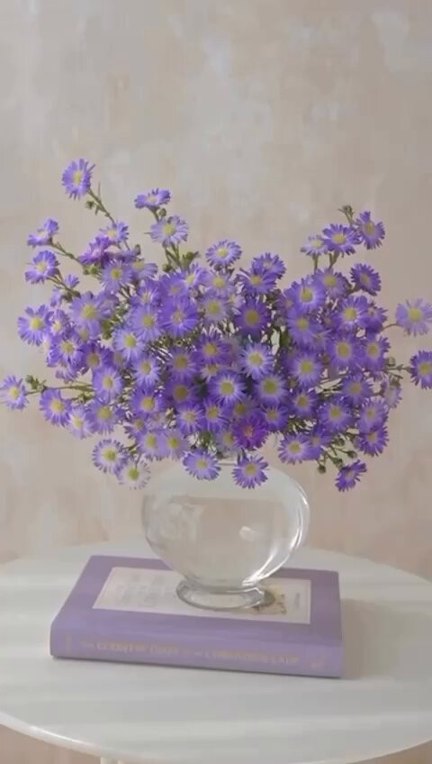 iWAk3oLty b2 p44.jpg