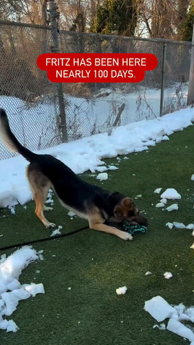 n yrkO33lLjkGDym.jpg