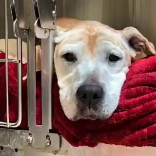 E2Q4646 pBBMJAme.jpg