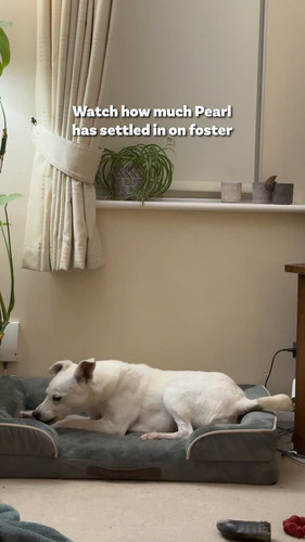 wXt AjsnlviGcanq.jpg