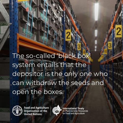 HA8u uVbsAA2PGH?format=jpg.jpg