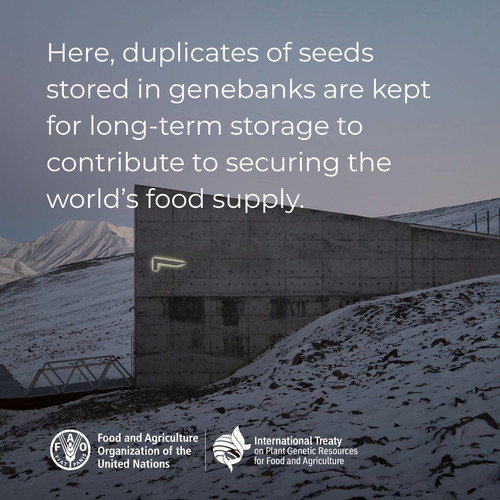 HA8u9lcWQAAyT J?format=jpg.jpg