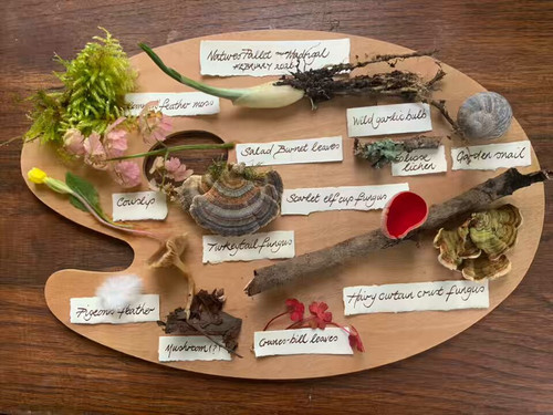 sLJ VWZhKlHQVxrg.jpg