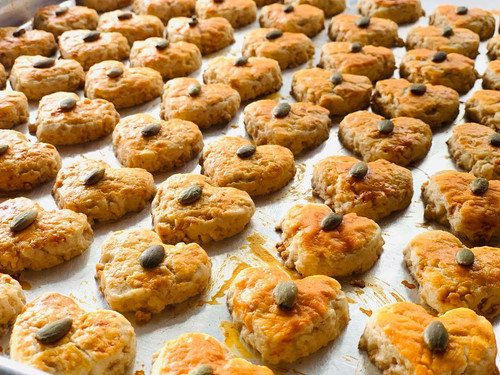 photo 2026 02 03 12 54 19.jpg