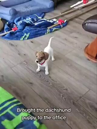 SA577HXNv S A6DH.jpg