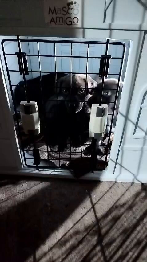 5BvT e3sBjISTIww.jpg