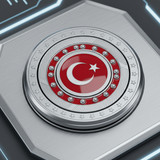 Türkiye Bayrağı Resimi V130220260358 N20