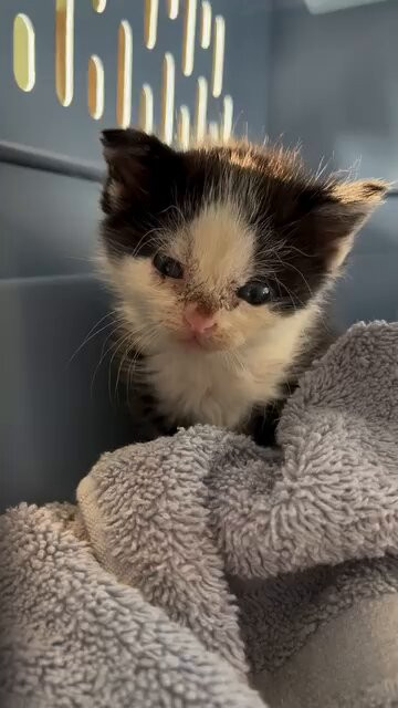 c vvPqzt6 F2DzYd.jpg